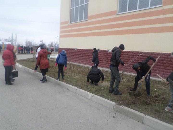 Ағаш егу жумыстары