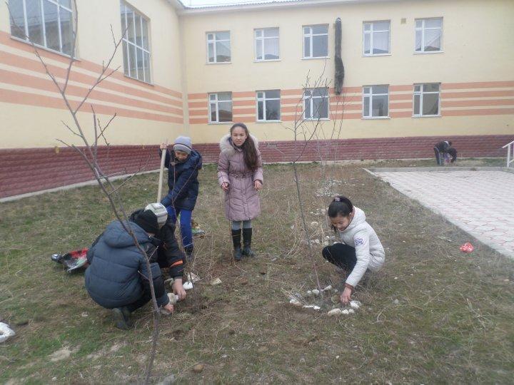 Ағаш егу жумыстары