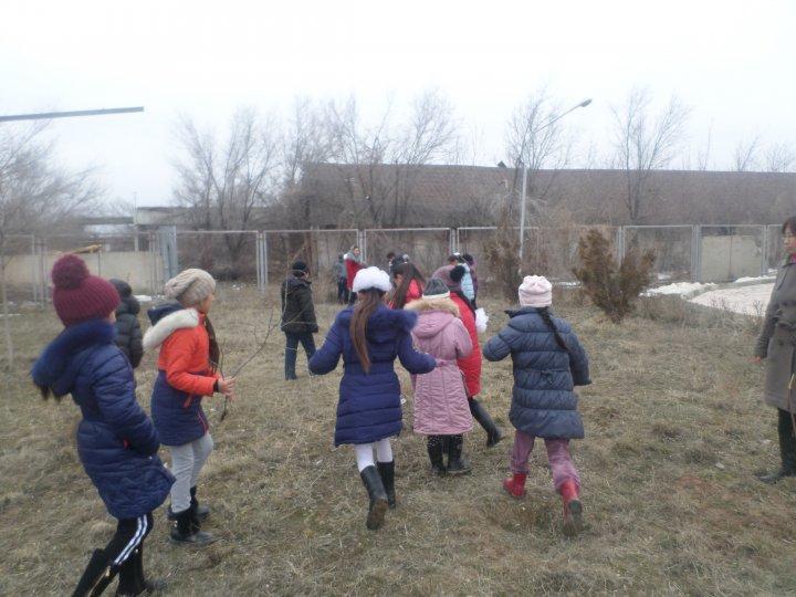 Ағаш егу жумыстары