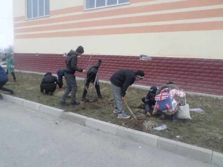Ағаш егу жумыстары