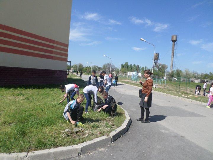 Сенбілік жұмыстары