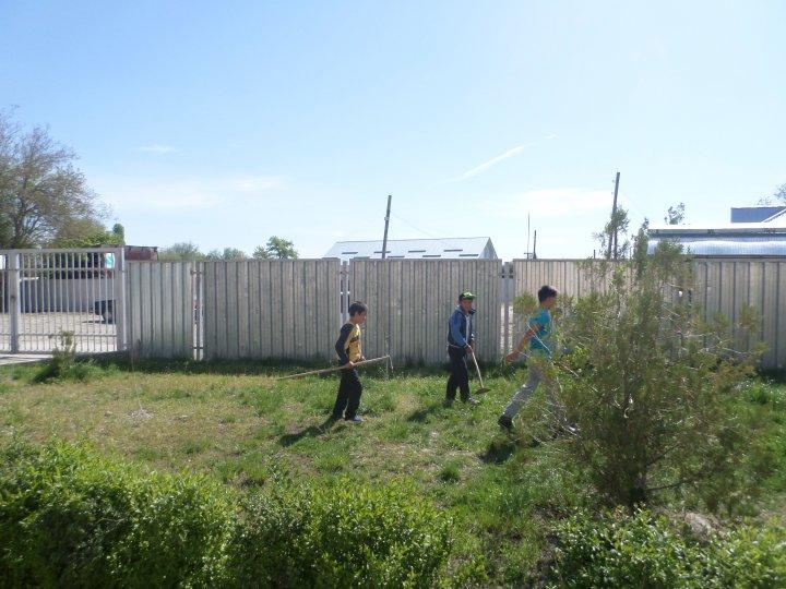 Сенбілік жұмыстары