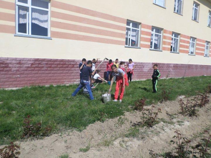 Сенбілік жұмыстары