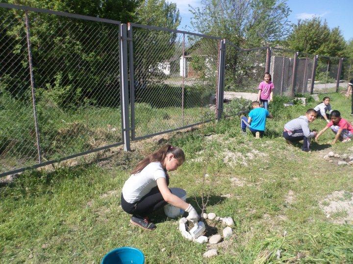 Сенбілік жұмыстары