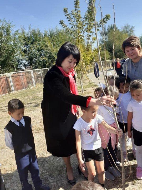 Республикалық экосағат аясында мектеп ауласына ағаштар отырғызылды